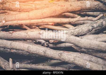 Cataste di legno vengono preparati per caminetti e caldaie sono fatte da rami di alberi. Foto Stock