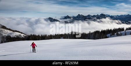 Tour di sci, ski tour guida in salita, intatto nella ski area, dietro il coperchio di nebbia e le montagne di Tannheimer Foto Stock