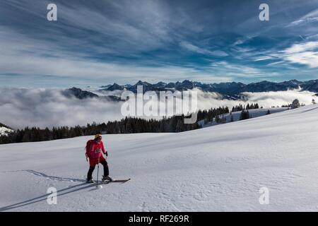 Tour di sci, ski tour guida in salita, intatto nella ski area, dietro il coperchio di nebbia e le montagne di Tannheimer Foto Stock