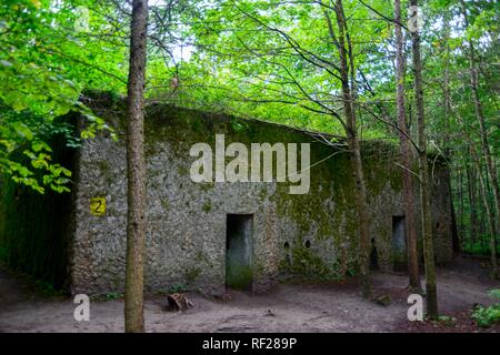 Bunker, assestamento forestale, Mamerki, Wegorzewo, Warmia-Masuria, Polonia Foto Stock