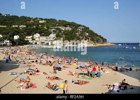 Affollata spiaggia di Llafranc, città costiera sulla Costa Blanca, Catalogna, Spagna Foto Stock