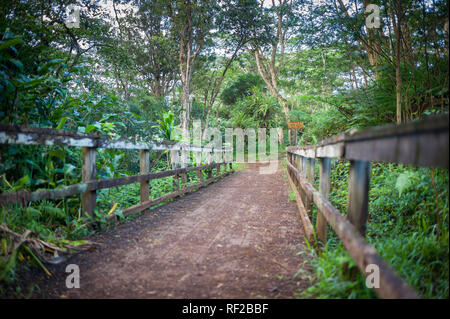 La Cresta Kuilau Trail esplora Kauai la scenografica montagnoso entroterra nelle Hawaii, Stati Uniti. Foto Stock