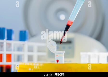 Test del DNA in laboratorio. Erogatore con sangue e provette di close-up. Una goccia di sangue. Foto Stock