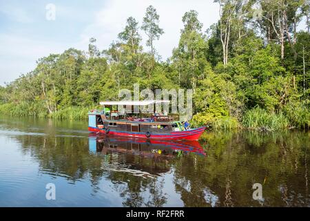 Imbarcazione (Klotok) sul fiume Sungai Sekonyer in Tanjung messa National Park, Kalimantan centrale, Borneo, Indonesia Foto Stock