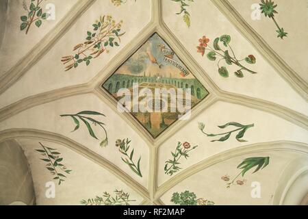 Giardino di erbe affresco sul soffitto della navata a San Michele Monastero, Michelsberg, Bamberg, Alta Franconia, Bavaria Foto Stock