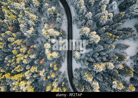 Inverno alpino strada vuota dopo la pesante caduta di neve Foto Stock