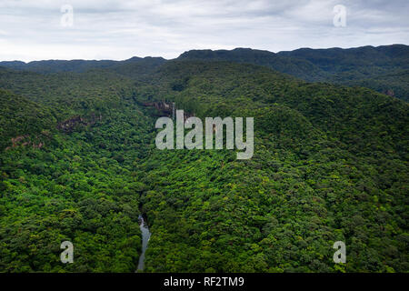 Vista aerea di barche parcheggiate sul fiume nella foresta pluviale tropicale con cascata in background, Giappone, Iriomote osland Foto Stock