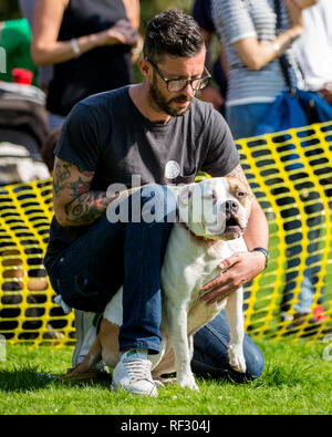 Un uomo tatuato con un cane nel parco di un dog show Foto Stock