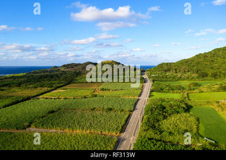 Aerail vew del paesaggio costiero sull isola di Ishigaki, Giappone, isole di Okinawa Foto Stock