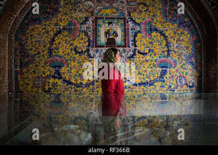 Pechino, Iran. 23 gen 2019. Una donna si reca presso il Palazzo Golestan a Tehran, Iran, il 23 gennaio, 2019. Il Golestan Palace è uno dei più vecchi complessi in Tehran costruita durante la dinastia di Safavid nella storica città murata. Credito: Ahmad Halabisaz/Xinhua/Alamy Live News Foto Stock