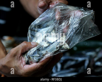 (190124) -- QUEZON, Gennaio 24, 2019 (Xinhua) -- Le sardine di acqua dolce noto localmente come 'tawilis' sono imballati in un mercato di Quezon City, Filippine, Gennaio 24, 2019. L'acqua dolce Tawilis sardine, un pesce che può essere trovata solo in Filippine " Lago Taal, ora è una specie in via di estinzione, Philippine media riportano il giovedì. Uno studio condotto dall'Unione internazionale per la Conservazione della Natura (UICN) dice che tawilis, noto anche come bonbon le sarde o alacce d'acqua dolce, è stato contrassegnato come una specie in via di estinzione. (Xinhua/Rouelle Umali) Foto Stock