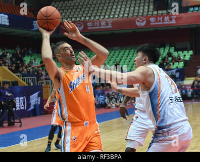 Chengdu Chengdu, in Cina. 24 gen 2019. Chengdu, Cina-Shanghai squali squadra di basket sconfitte Sichuan balena blu Team 106-94 a CBA 2018/19 a Chengdu, southwest ChinaÃ¢â'¬â"¢s nella provincia di Sichuan. Credito: SIPA Asia/ZUMA filo/Alamy Live News Foto Stock