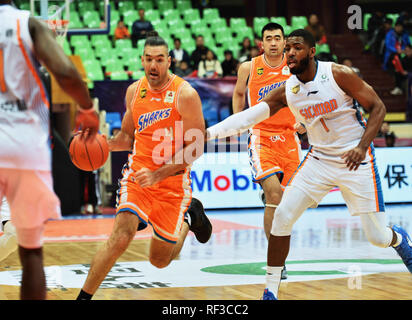 Chengdu Chengdu, in Cina. 24 gen 2019. Chengdu, Cina-Shanghai squali squadra di basket sconfitte Sichuan balena blu Team 106-94 a CBA 2018/19 a Chengdu, southwest ChinaÃ¢â'¬â"¢s nella provincia di Sichuan. Credito: SIPA Asia/ZUMA filo/Alamy Live News Foto Stock