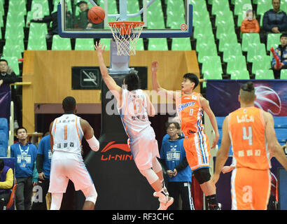 Chengdu Chengdu, in Cina. 24 gen 2019. Chengdu, Cina-Shanghai squali squadra di basket sconfitte Sichuan balena blu Team 106-94 a CBA 2018/19 a Chengdu, southwest ChinaÃ¢â'¬â"¢s nella provincia di Sichuan. Credito: SIPA Asia/ZUMA filo/Alamy Live News Foto Stock