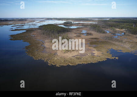 Stati Uniti d'America, Maryland, Cambridge, alta marea inondazioni dall innalzamento del livello del mare a Blackwater National Wildlife Refuge Foto Stock
