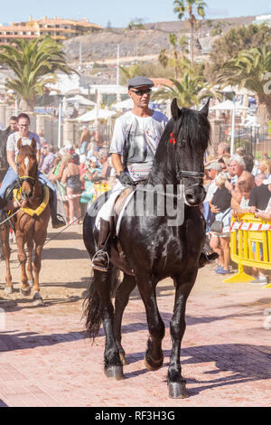 Cavalli e Cavalieri lasciando La Enramada beach dopo la balneazione i loro animali in mare a San Sebastian romeria, fieasta, La Caleta, Tenerife, può Foto Stock