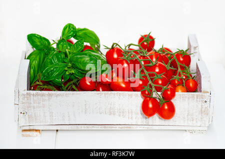 Raccolta di pomodori. Pomodori ciliegia su un ramo in una scatola di legno su uno sfondo bianco. Di foglie di basilico fresco. Foto Stock