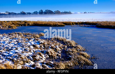 Basse nubi in una fredda giornata invernale e, South Lanarkshire vicino a Biggar, Scozia Foto Stock