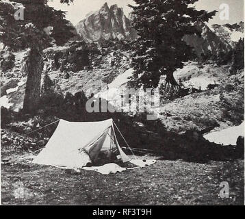 . Gli utenti di deserto nel nord-ovest del Pacifico: le loro caratteristiche, i valori e le preferenze di gestione. Aree selvagge Nordovest Pacifico; aree selvagge a nord-ovest del Pacifico visitatori. in materia di segni o, forse, un po' di confusione su questionario dichiarazioni. Il messaggio per i responsabili di deserto sembra essere: utilizzare segni di legno dove possibile mantenerle semplici con le direzioni Solo e li posiziona in corrispondenza di giunzioni sentiero piuttosto che concentrarli a trailheads. Abbiamo trascurato di includere una importante dichiarazione relativa ai segni nel deserto. Questa dichiarazione avrebbe riferito alla pratica di d Foto Stock