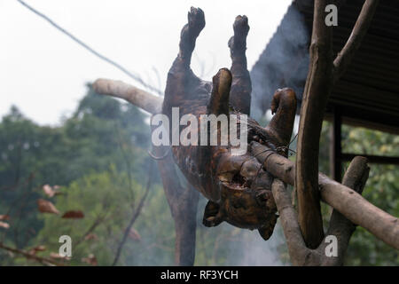 Arrosto di maiale preparato durante il fine settimana in Vietnam Foto Stock