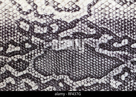 Modello di Snakeskin in vera pelle close-up, imitazione rettile esotico, sfondo alla moda Foto Stock