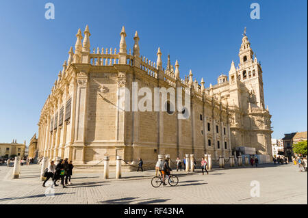 Cattedrale di Sevilla e Giralda torre campanaria, Siviglia Andalusia Spagna. Foto Stock