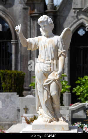 Cimitero angelo da un vecchio cimitero europeo Foto Stock