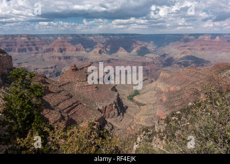 Guardando verso il basso il Bright Angel Trail da Rim Trail vicino al Grand Canyon Village, South Rim, il Parco Nazionale del Grand Canyon, Arizona, Stati Uniti. Foto Stock