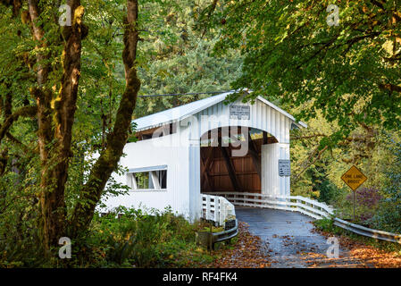 Wildcat Bridge, noto anche come il Ponte Austa, su Wildcat Creek presso il fiume Siuslaw; Costiera montagne, Oregon. Foto Stock