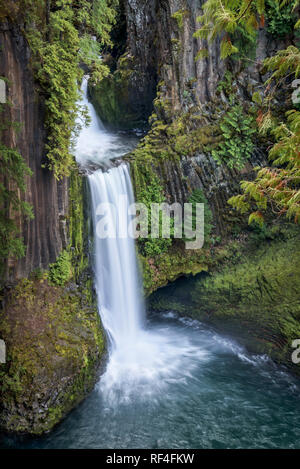 Toketee Falls, North Umpqua River, Umpqua National Forest, Oregon. Foto Stock