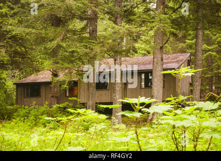 Camere presso il Glacier Bay Lodge sono immerso nella foresta vicino Bartlett Cove, Parco Nazionale di Glacier Bay, Alaska Foto Stock