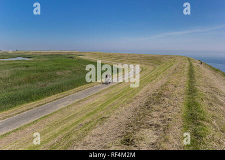 Matura in bicicletta lungo una diga sul isola di Texel, Paesi Bassi Foto Stock
