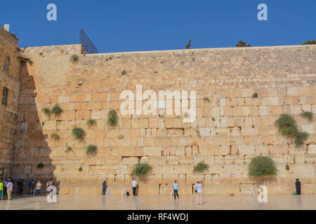Western / il Muro del Pianto a Gerusalemme, Israele Foto Stock