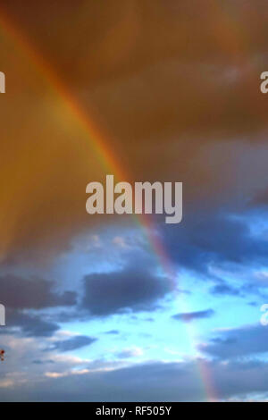 Un arcobaleno compare in Phoenix, Arizona dopo una tempesta di pioggia. Foto Stock