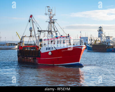 Emulare una dentellatura barche da pesca da Brixham con partenza dal molo del pesce nel porto di Scarborough North Yorkshire England Regno Unito Foto Stock