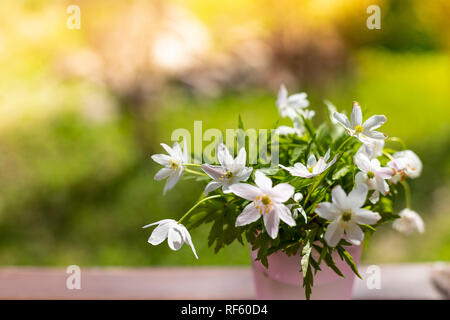 Bouquet di bella snowdrops in un piccolo vaso sulla natura sfondo ,concetto di primavera e fiori. bucaneve come simbolo per la primavera.Festive Easter Card con bucaneve.spazio copia Foto Stock