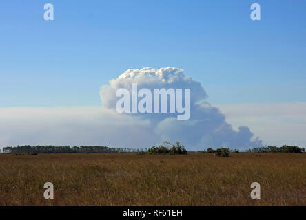 Il fumo sopra il Sawgrass Prairie di Everglades National Park, Florida. Foto Stock