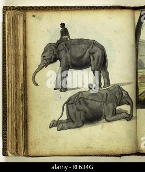 Elefante in piedi e disteso. Relatore per parere: Jan Brandes. Dating: Dic-1785. Luogo: Ja-Ela. Misurazioni: h 195 mm × W 155 mm. Museo: Rijksmuseum Amsterdam. Foto Stock