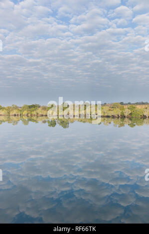 Parco Nazionale di Kafue, Zambia, è chiamato dopo il fiume Kafue, una caratteristica importante del parco. Foto Stock