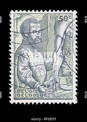 Francobollo dal Belgio raffiguranti Andreas Vesalius, anatomista Foto Stock