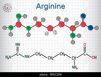 Arginina Arg (R) aminoacido molecola, è utilizzato nella biosintesi delle proteine . Formula chimica di struttura e la molecola modello. Foglio di carta in Illustrazione Vettoriale