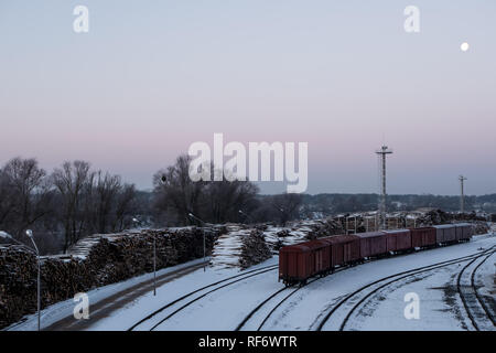 Carrozze ferroviarie caricato con la foresta Foto Stock