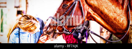 Femmina vet controllo denti del cavallo Foto Stock