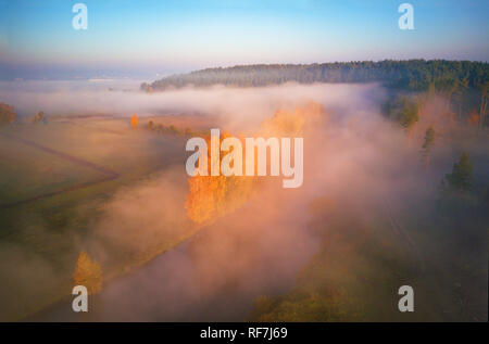 Il giallo di betulle in autunno foggy riverbank. Vista aerea della mattina nebbiosa fiume e campi rurali. Colori d'autunno mattina. Sunrise caduta scena da ab Foto Stock