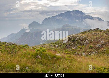 Mount Mulanje, un gigantesco massiccio in quartiere meridionale, Malawi, è il monte più alto in Sud Africa centrale ed è costituito da una rete di sentieri escursionistici Foto Stock