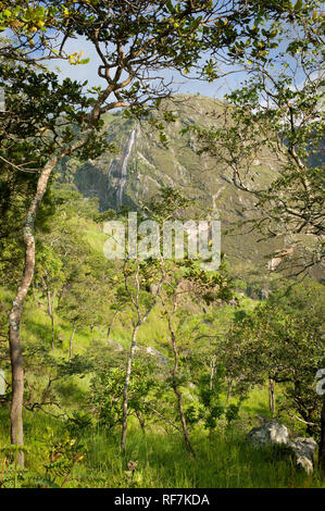 Mount Mulanje, un gigantesco massiccio in quartiere meridionale, Malawi, è il monte più alto in Sud Africa centrale ed è costituito da una rete di sentieri escursionistici Foto Stock