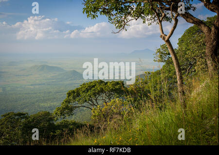 Mount Mulanje, un gigantesco massiccio in quartiere meridionale, Malawi, è il monte più alto in Sud Africa centrale ed è costituito da una rete di sentieri escursionistici Foto Stock