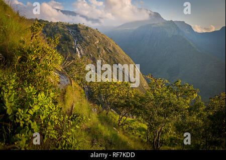 Mount Mulanje, un gigantesco massiccio in quartiere meridionale, Malawi, è il monte più alto in Sud Africa centrale ed è costituito da una rete di sentieri escursionistici Foto Stock