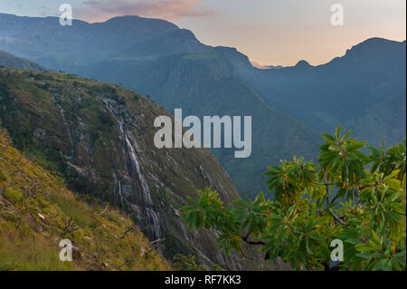 Mount Mulanje, un gigantesco massiccio in quartiere meridionale, Malawi, è il monte più alto in Sud Africa centrale ed è costituito da una rete di sentieri escursionistici Foto Stock