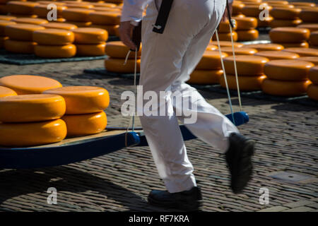 Il mercato del formaggio di Alkmaar è il più grande nei Paesi Bassi con il tradizionale formaggio portatori., Der Käsemarkt di Alkmaar ist der größte in den Nieder Foto Stock